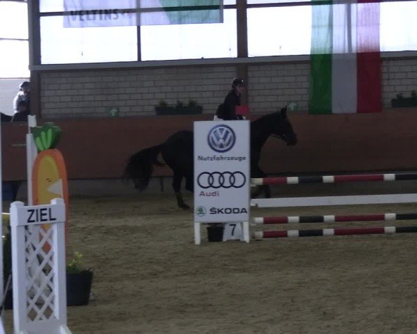 Reitturnier Hellefeld 2025