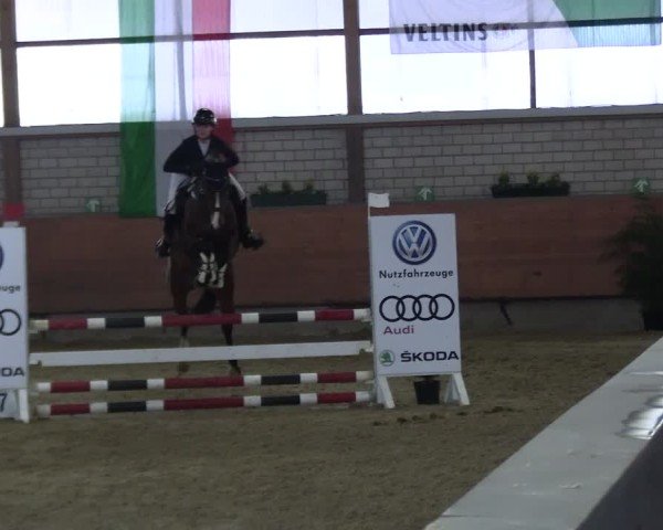 Reitturnier Hellefeld 2025