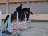 broodmare Quickstep (Hanoverian, 2011, from Quality 9)