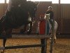 jumper Twilight Sparkle 3 (Hanoverian, 2016, from Talismann 93)