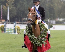 dressage horse Steendieks Tanzalarm (German Riding Pony, 2018, from Steendieks Morgensterns Dalai)