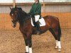 jumper Lausbub 404 (Mecklenburg, 2002, from Limborat)