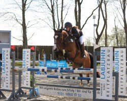 Springpferd Frida Gold R (Holsteiner, 2009, von Aljano)