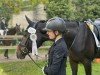 dressage horse Alexandria L (German Sport Horse, 2008, from Alassio's Boy)