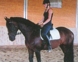 dressage horse Friendly Face 3 (Bavarian, 2002, from Friendship)