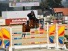 jumper Cronerbin (Westphalian, 2017, from Casino Grande)