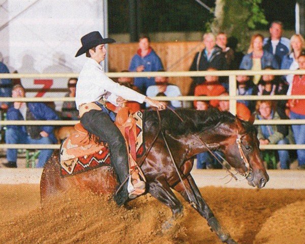 stallion Doctor Zip Nic (Quarter Horse, 2002, from Reminic)