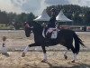 dressage horse Rio Takahara (German Riding Pony, 2006, from Proud Rocketti)