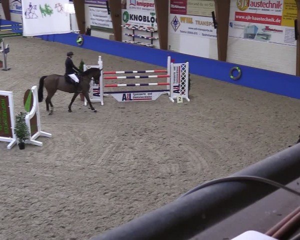 Reitturnier Sögel 2025