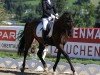 dressage horse Prinz George I (Oldenburg, 2016, from Sir Donnerhall I)