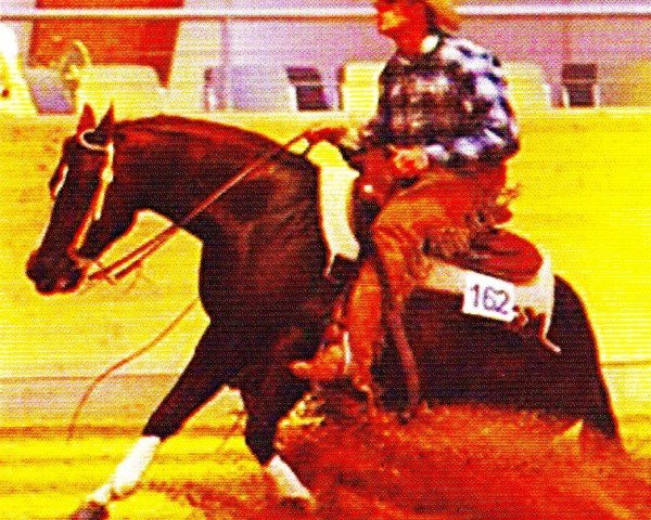 Deckhengst Little Nic Tari (Quarter Horse, 1997, von Reminic)