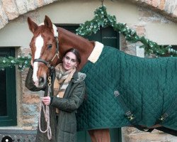 dressage horse Flexan (Westphalian, 2007, from Floresco NRW)