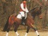 horse Bajano 10 (Oldenburg, 1999, from Bonheur)