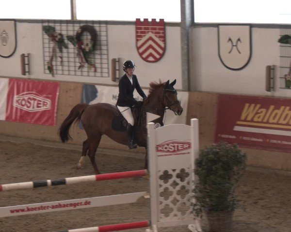 Reitturnier Westbarthausen 2025