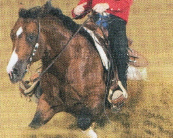 Deckhengst Mr Snapple (Quarter Horse, 1997, von Snapper Cal Bar)