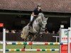 jumper Coeur de Foret (German Sport Horse, 2016, from Cellestial)