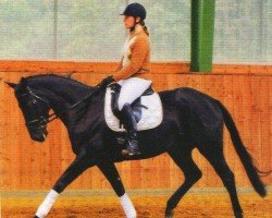 dressage horse Sexy Lotta 2 (Rhinelander, 2007, from Samarant)