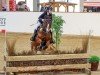 jumper Nanuk 84 (German Riding Pony, 2010, from Next Level)