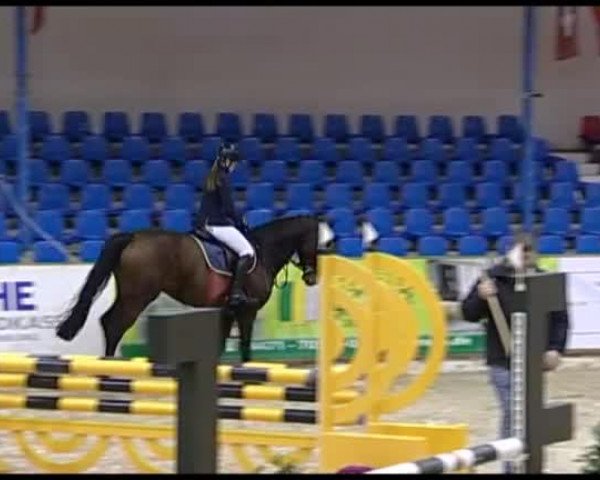11. Hallen-Championat Vechta 2013