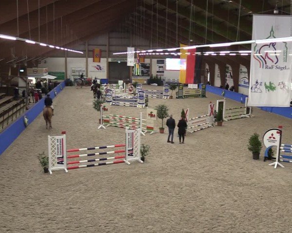 Reitturnier Sögel 2025