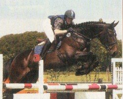 horse Butscher 3 (German Warmblood, 1995, from Bolero xx)