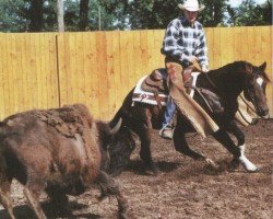 stallion Perfect Little Peppy (Quarter Horse, 1987, from Peppy San Badger)