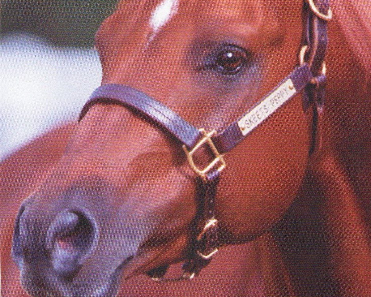 Deckhengst Skeets Peppy (Quarter Horse, 1995, von Peppy San Badger)