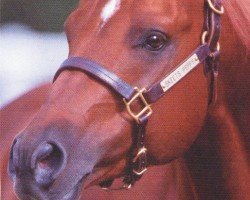 stallion Skeets Peppy (Quarter Horse, 1995, from Peppy San Badger)