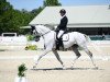 dressage horse Fortunatus (Hanoverian, 2013, from For Romance I)