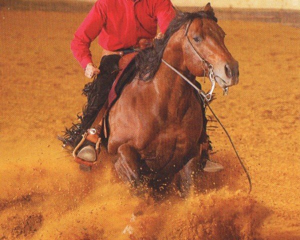 stallion Refried Dreams (Quarter Horse, 1995, from Taris Catalyst)