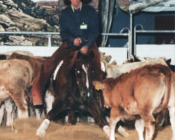 stallion Peppy San Especial (Quarter Horse, 1993, from Peppy San Badger)