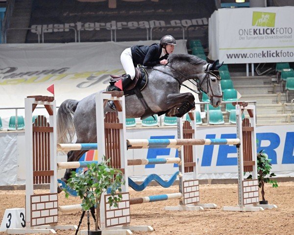 jumper Crassus 23 (Oldenburg show jumper, 2017, from K.i Checkter)
