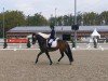dressage horse Fats Domino 18 (Hanoverian, 2018, from Fantastic)