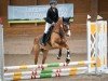 Dressurpferd RM Dance la Vela (Deutsches Reitpony, 2013, von Dreidimensional AT NRW)