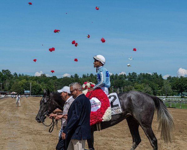 horse Maracuja xx (Thoroughbred, 2018, from Honor Code xx)