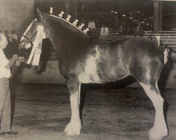 broodmare Emerald's Lucky Lady (Clydesdale, 1991, from Olde Pine Tree Winston)