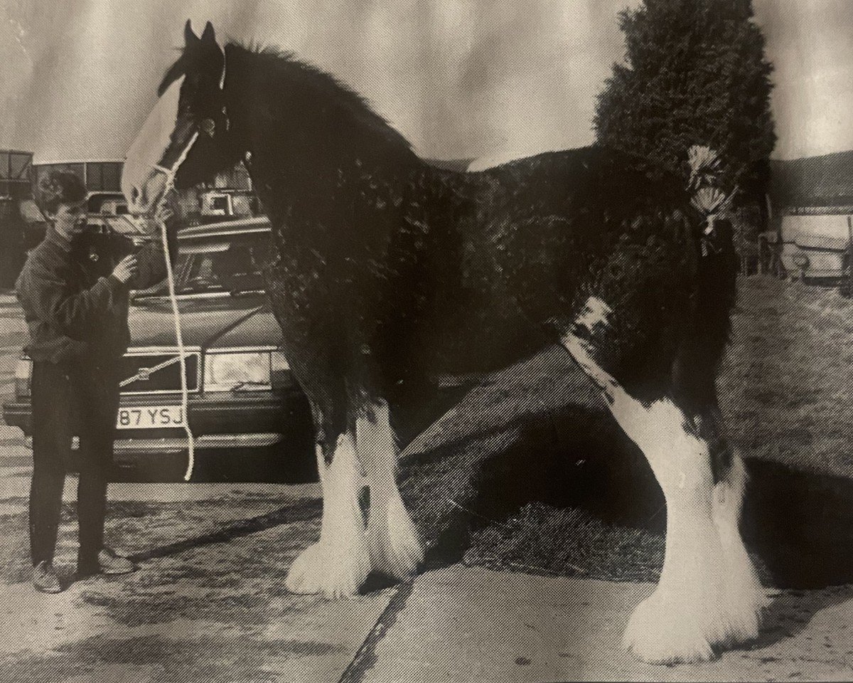 broodmare Howgillside Crystal (Clydesdale, 1991, from Doura Expectation)