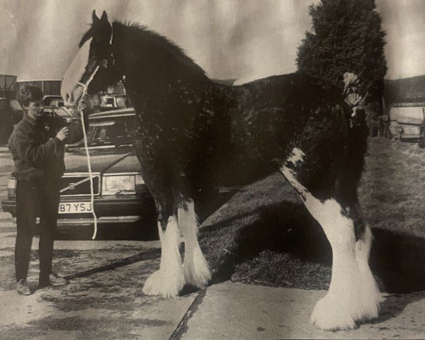 broodmare Howgillside Crystal (Clydesdale, 1991, from Doura Expectation)
