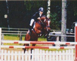 horse Tiberius (German Riding Pony, 1993, from Llanarth Mostyn Triton)