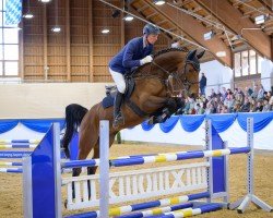 stallion Amici Spumante (Oldenburg show jumper, 2019, from Asti Spumante 7)