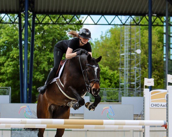 jumper Rythme u.Blues van't Molenvondel (Belgian Warmblood, 2017, from Fortuin Z)