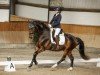 dressage horse Esteban 31 (Oldenburg, 2020, from Escolar)