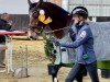 jumper Skippy (Westphalian, 2021, from Hickstead Blue)