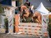 jumper Kan Fly 3 (Hanoverian, 2019, from Chacfly PS)