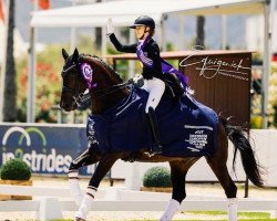 dressage horse Zinq Hugo FH (KWPN (Royal Dutch Sporthorse), 2012, from Spielberg)