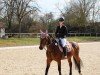 Springpferd Conchito D (Deutsches Sportpferd, 2015, von Cesano II)