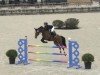 broodmare Chinta (Holsteiner, 2007, from Chin Chin)