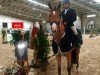 Springpferd Cascida (Holsteiner, 2017, von Cascadello)