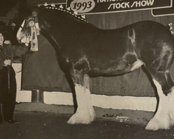 broodmare Green Leaf Raine (Clydesdale, 1988, from Torrs King O'Galloway)