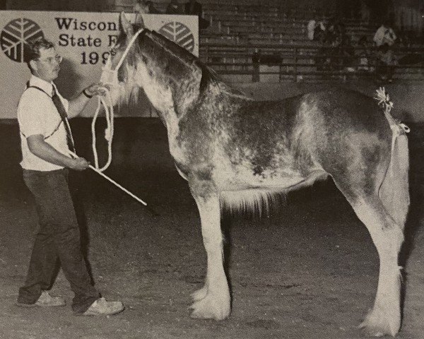 broodmare Thistle Ridge Argyll Silken (Clydesdale, 1992, from Commander Mark Argyll)